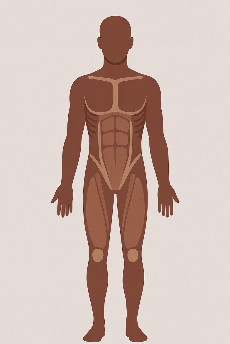 Male Body